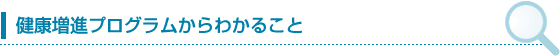 NivO킩邱