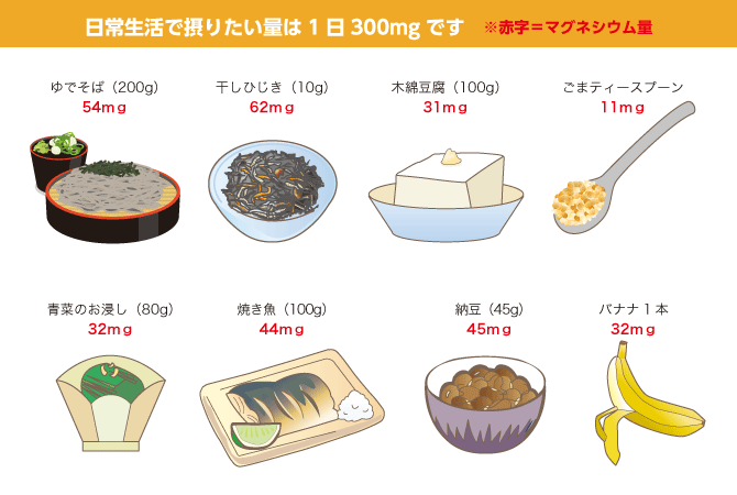 多い マグネシウム 食品 の マグネシウムの働きと1日の摂取量