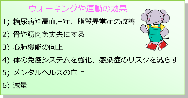 ウォーキングや運動の効果について